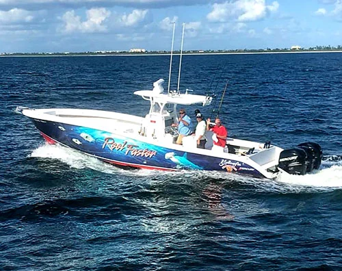 Sunshine Tours photo