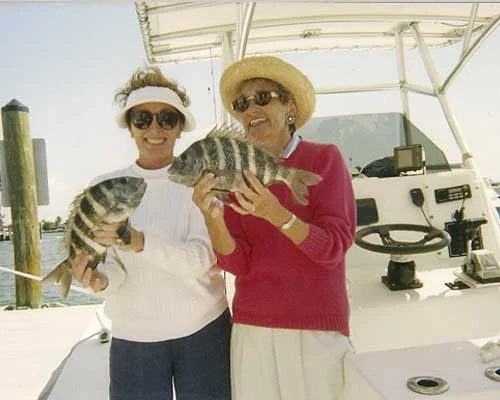 Sunshine Tours photo