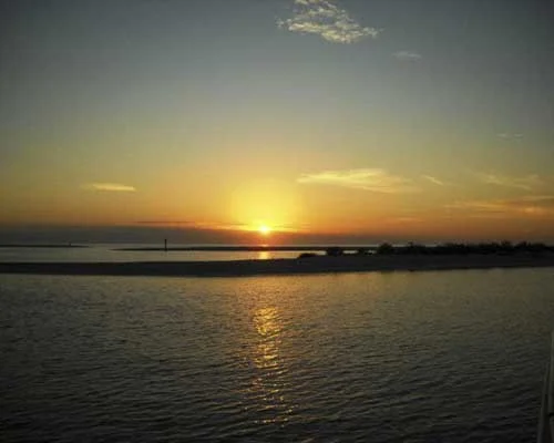 Sunshine Tours photo